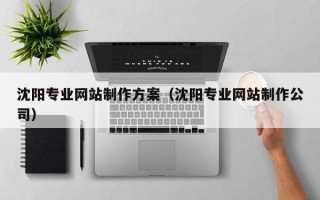 宝应县沈阳专业网站制作方案（沈阳专业网站制作公司）